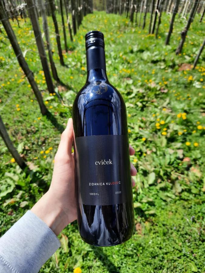 Vineyard Cottage Kulovec Ursna Sela 外观 照片