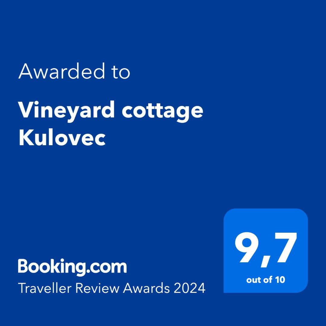 Vineyard Cottage Kulovec Ursna Sela 外观 照片